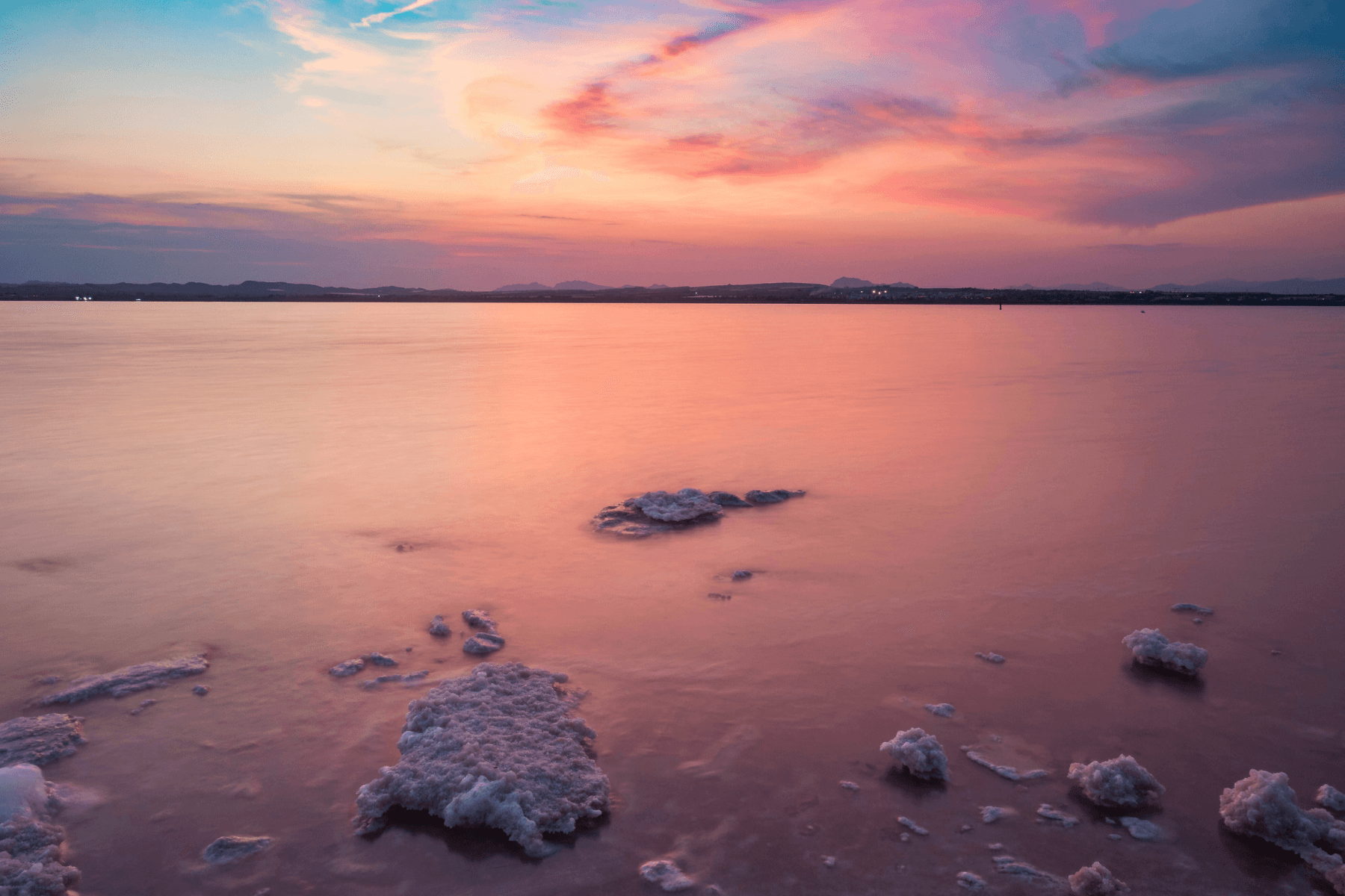 Gestión de vivendas turísticas en Torrevieja