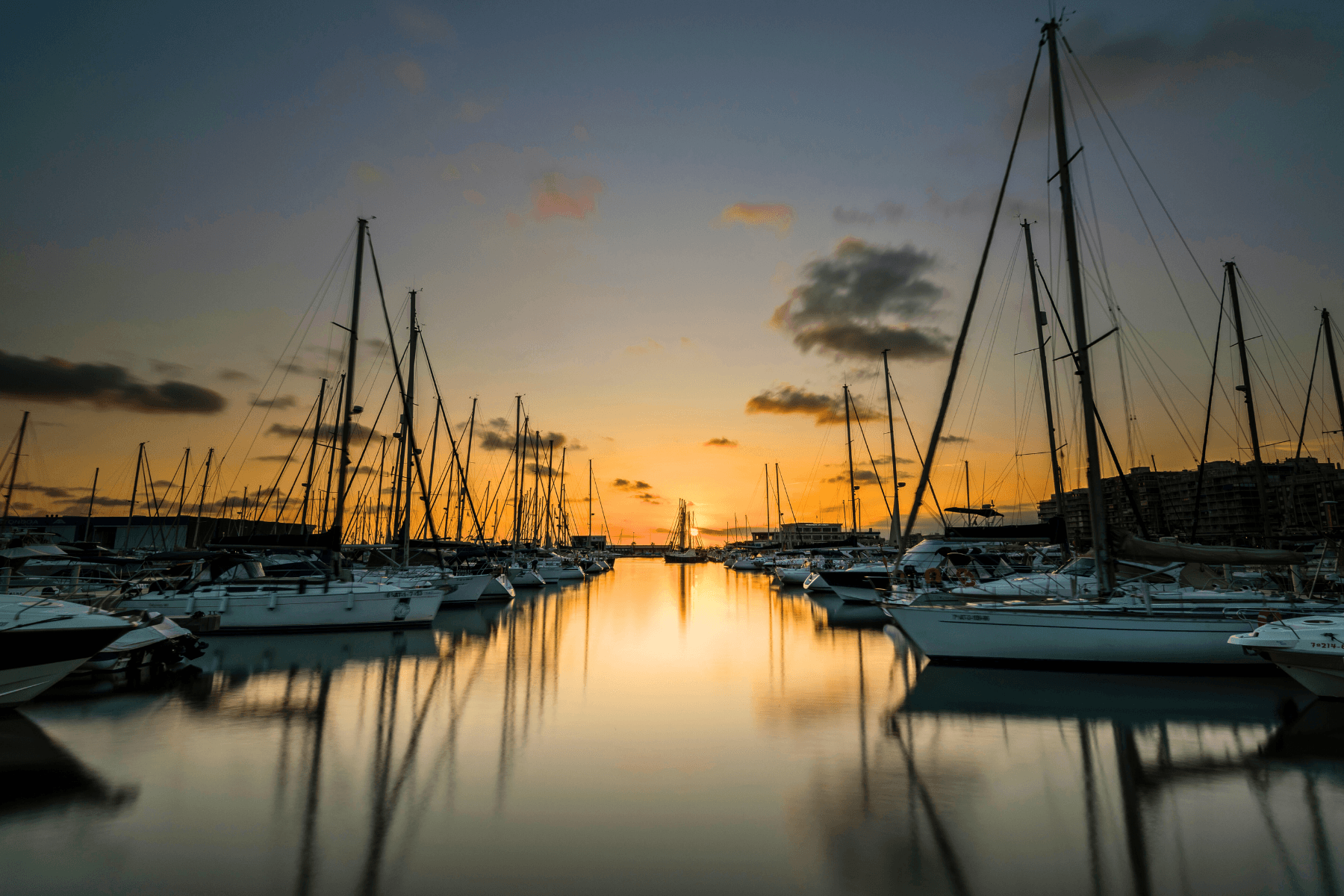 Licencias turísticas: Santa Pola muelle